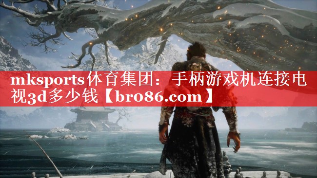 mksports体育集团：手柄游戏机连接电视3d多少钱